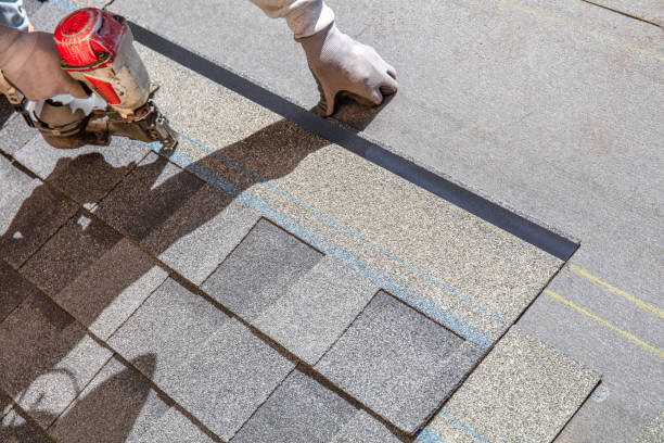 Gutter Installation and Roofing in Verona Walk, FL